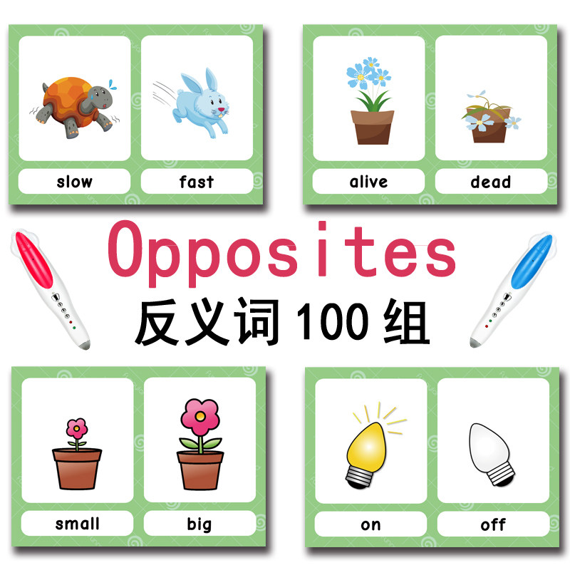 100 Gruppi di Carte Flash con  - Baby Products China recensione e prezzo